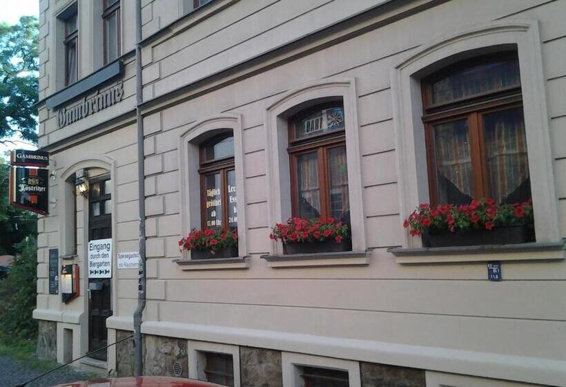 חדר סטנדרט חדר אמבטיה משותף, Gästezimmer In Lindenau