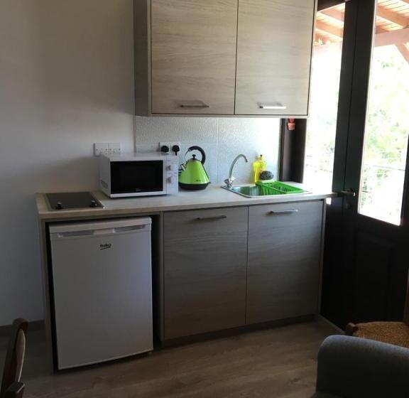 스탠다드 룸 킹사이즈 침대, Xenios Guesthouse