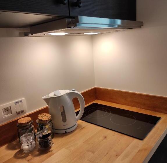 标准工作室, B&b In Den Roden Schilt