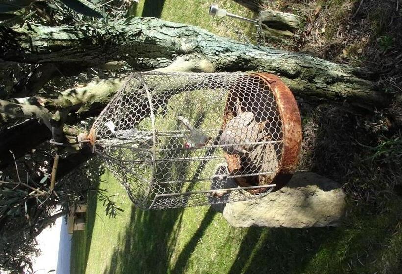 스탠다드 룸 킹사이즈 침대, Chambre D Hôte Anais