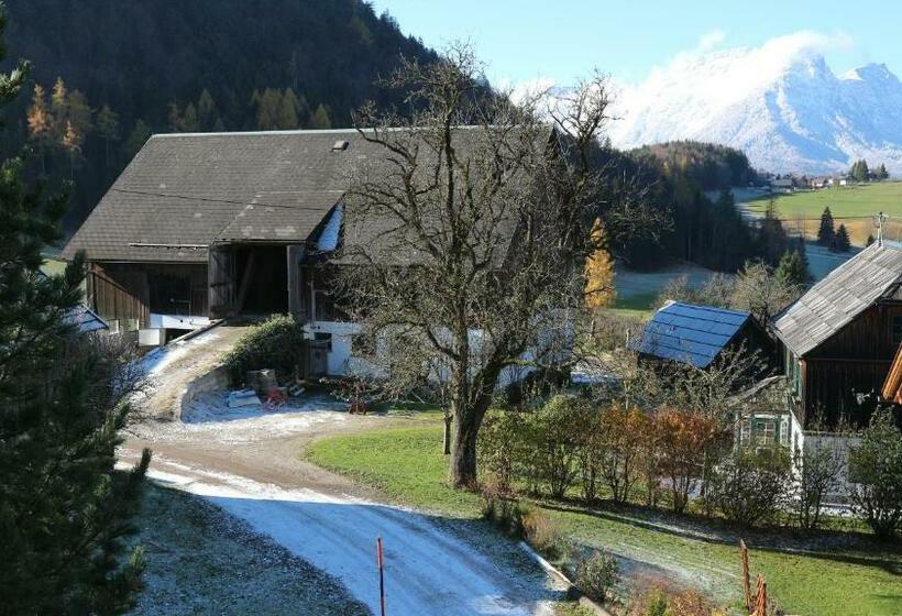 شقة غرفة واحدة ذات إطلالة, Haus Galler   Urlaub Am Bauernhof