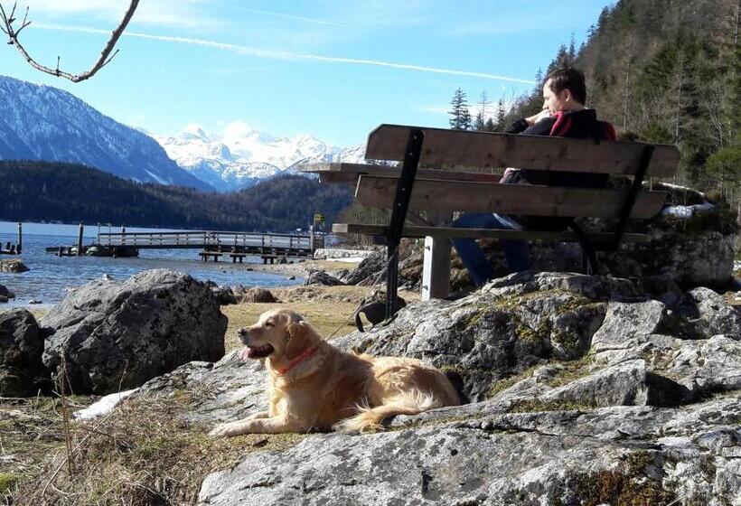 شقة غرفة واحدة ذات إطلالة, Haus Galler   Urlaub Am Bauernhof