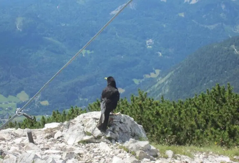 １ベッドルームアパートメント, Haus Galler   Urlaub Am Bauernhof