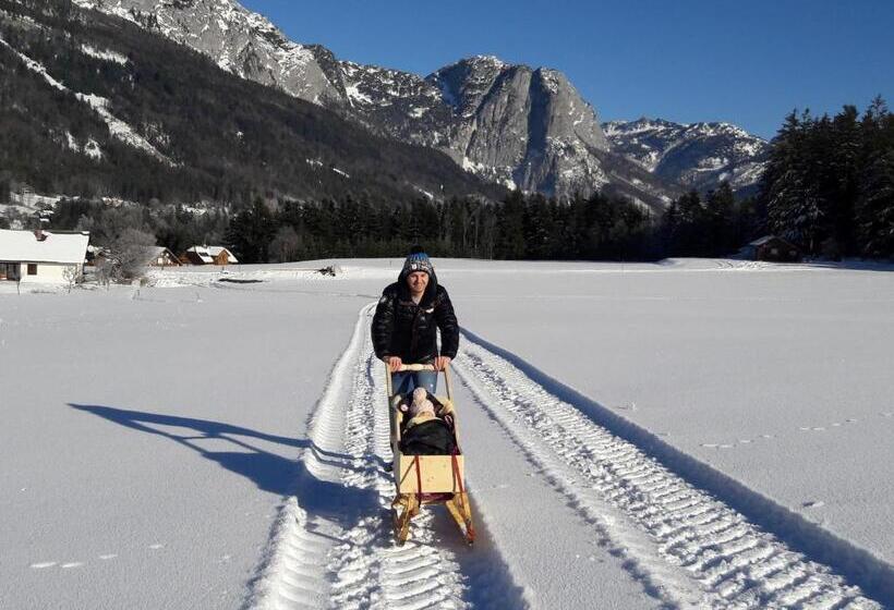 شقة غرفة واحدة, Haus Galler   Urlaub Am Bauernhof