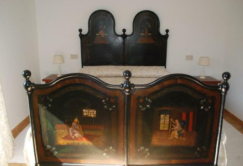 スタンダードルーム, Stazzu Coiga