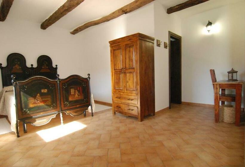 スタンダードルーム, Stazzu Coiga