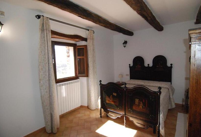 スタンダードルーム, Stazzu Coiga