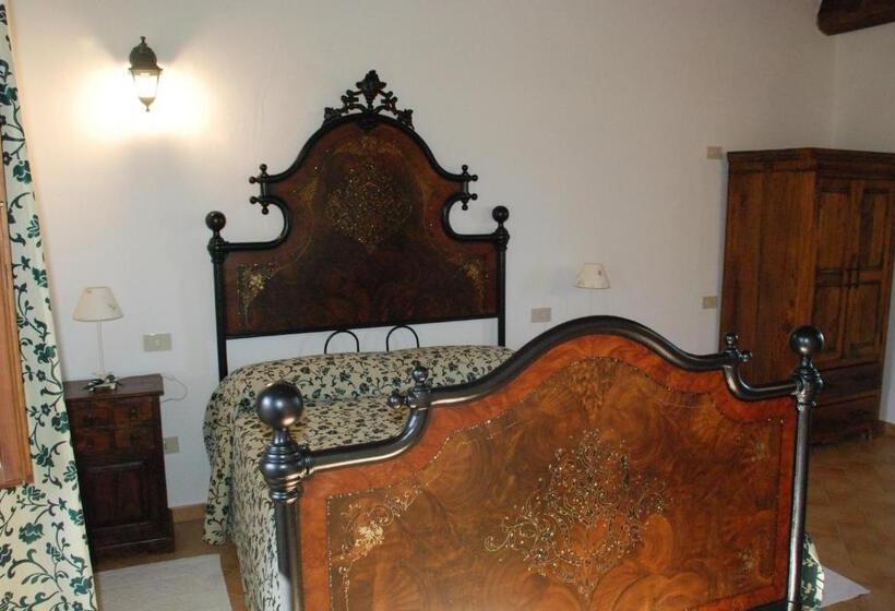 スタンダードルーム, Stazzu Coiga