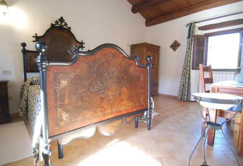 スタンダードルーム, Stazzu Coiga