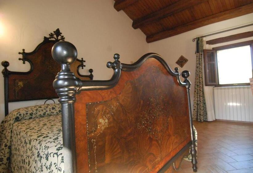 スタンダードルーム, Stazzu Coiga