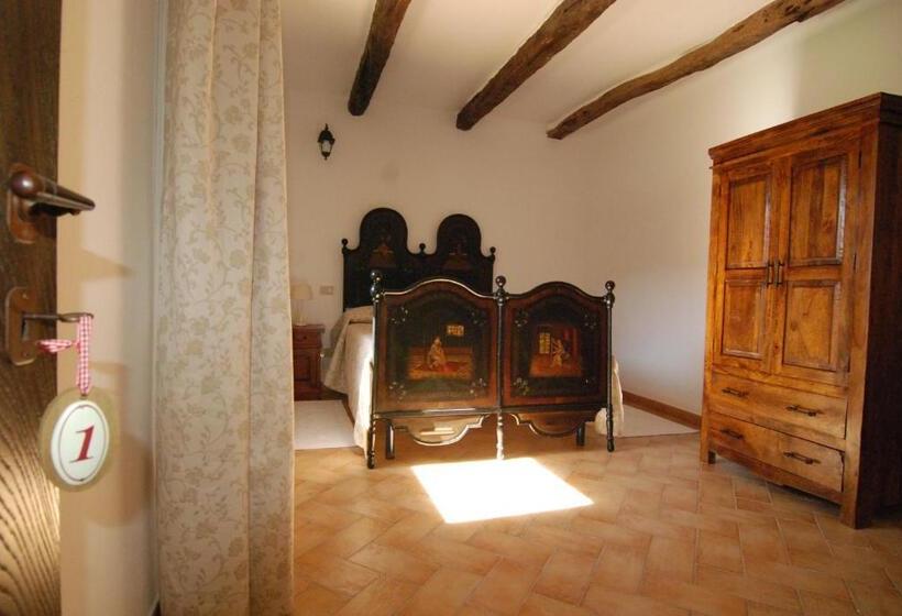 スタンダードルーム, Stazzu Coiga