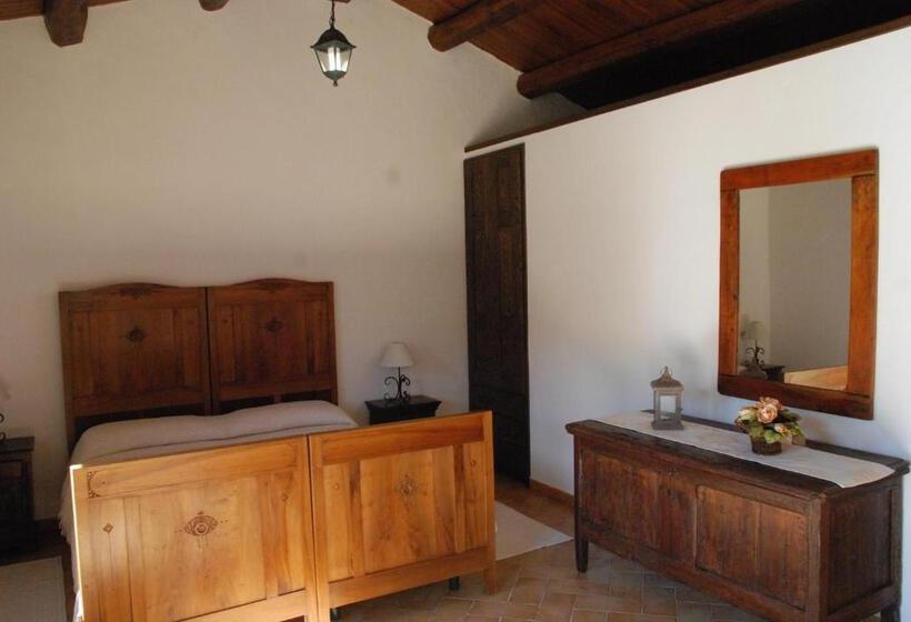 スタンダードルーム, Stazzu Coiga