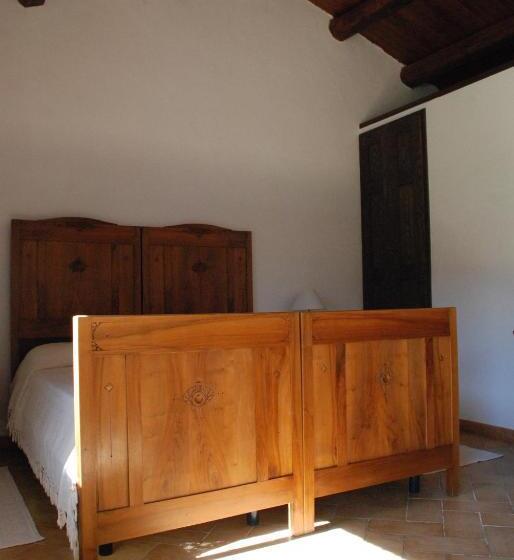 スタンダードルーム, Stazzu Coiga