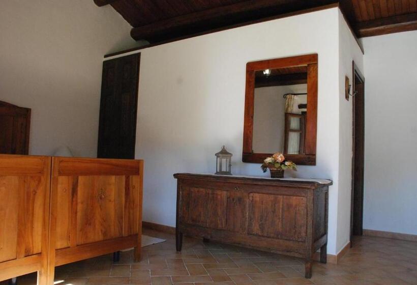 スタンダードルーム, Stazzu Coiga