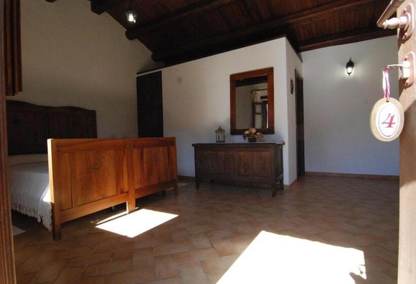 スタンダードルーム, Stazzu Coiga