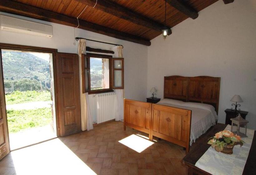 スタンダードルーム, Stazzu Coiga