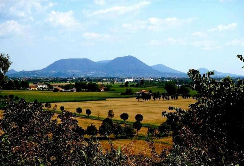 标准间, Brojo Hill