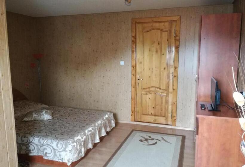 标准间, Vila Nely