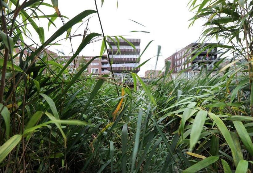 آپارتمان 2 خوابه, Rieteiland B&b