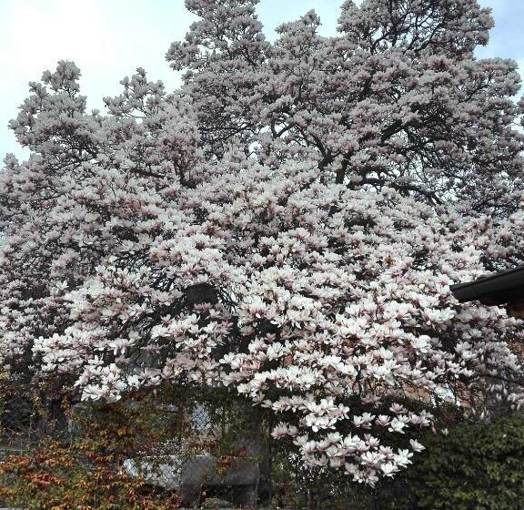 חדר סטנדרט נוף להרים, B&b Villa Claudia