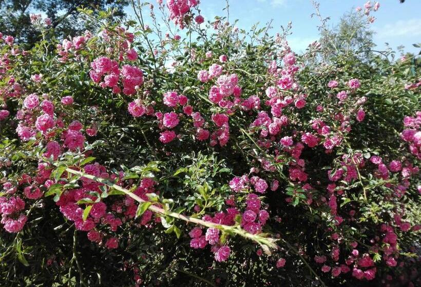 חדר סטנדרט עם מיטת קינג, B&b Villa Claudia