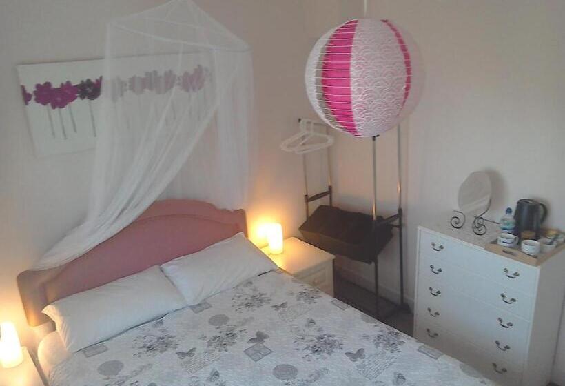 جناح, Sans Souci