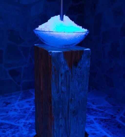 침실 1개 디럭스 아파트, Bauernhofresidence Leierhof