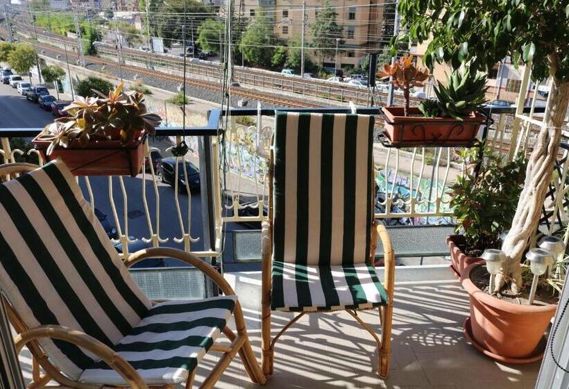 اتاق استاندارد چهار تخته, Daniel And James