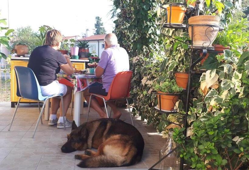 חדר סטנדרט, La Mia Resilienza Nei Sassi Di Matera