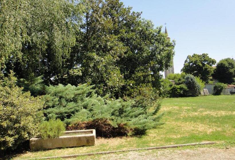 اتاق لوکس با چشمانداز باغ, Quo Vadis Qui Vieni