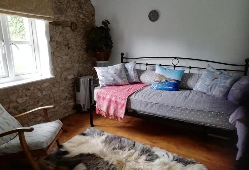 带大床的高级房间, Records Place