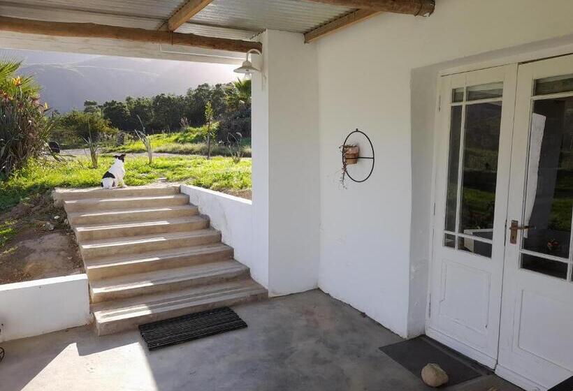 Studio Comfort, Die Hoenderhok And Die Plaashuisie