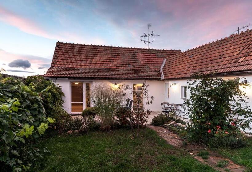 １ベッドルームアパートメント, Chalupka