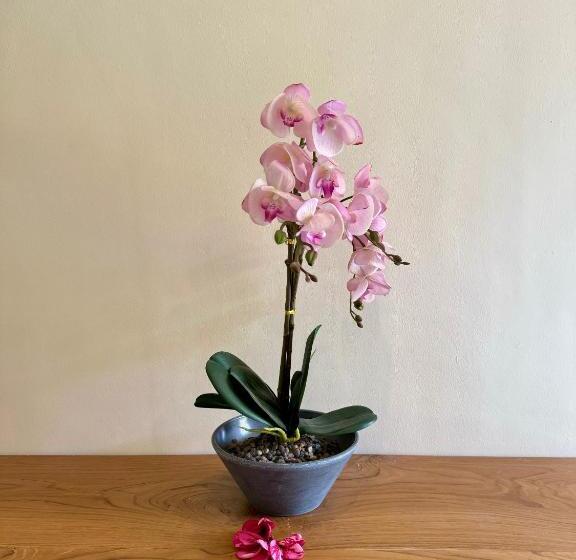 חדר דלוקס עם מרפסת, Dega Gardens