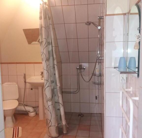 استودیو استاندارد با چشم‌انداز باغ, Sunrise Majutus