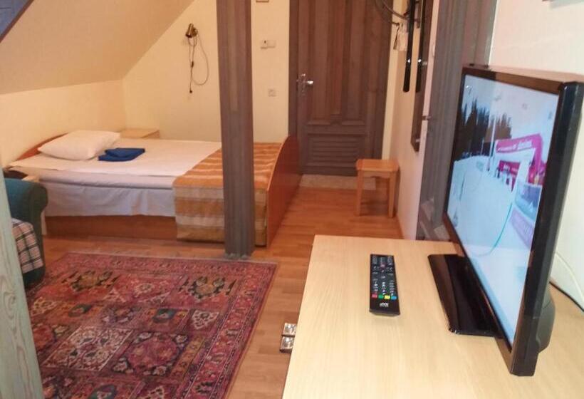 استودیو استاندارد با چشم‌انداز باغ, Sunrise Majutus