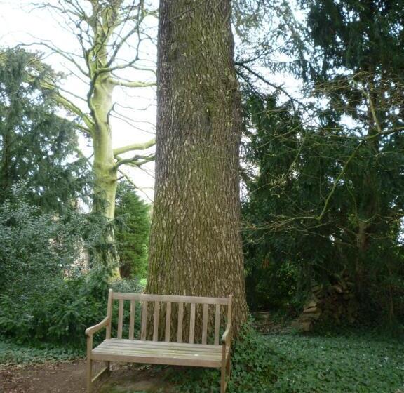 اتاق استاندارد, Au Vieux Cèdre