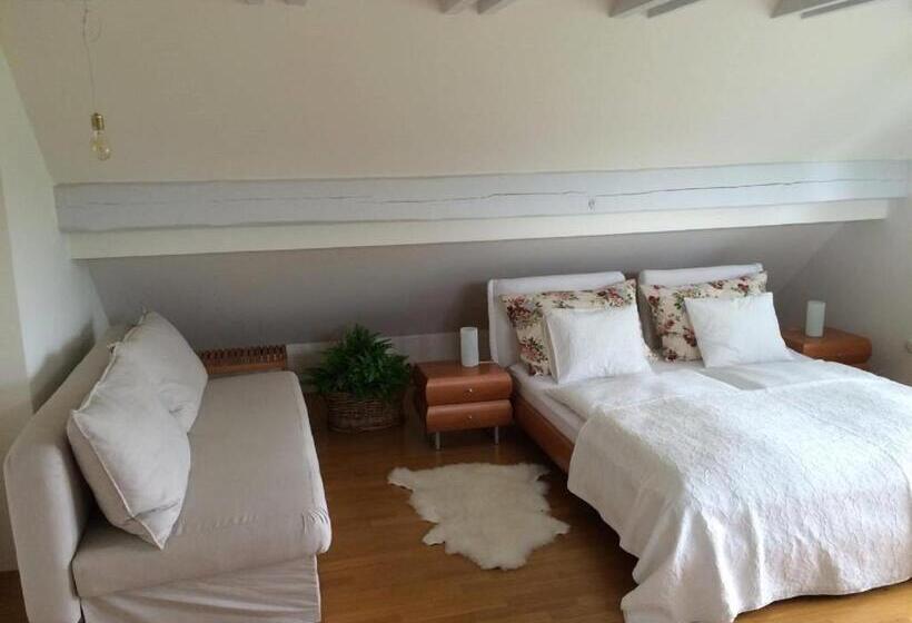 استودیوی استاندارد, Guest House Vitaja