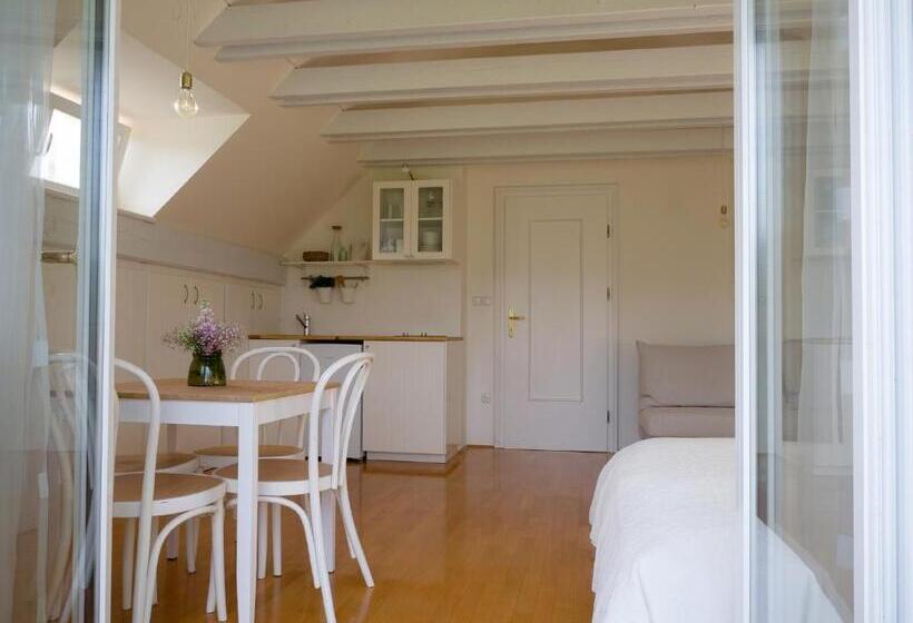 استودیوی استاندارد, Guest House Vitaja