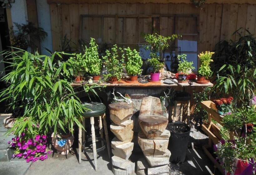 غرفة قياسية رباعية, Sonnhof