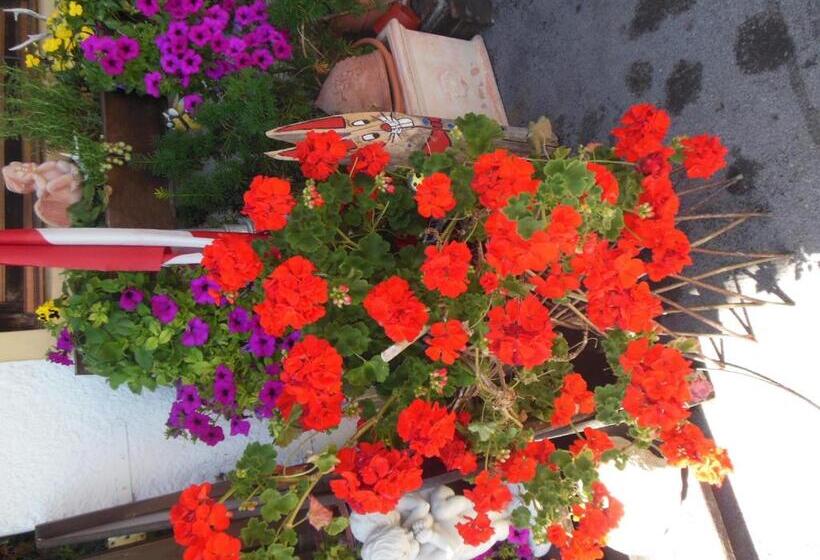 غرفة قياسية رباعية, Sonnhof