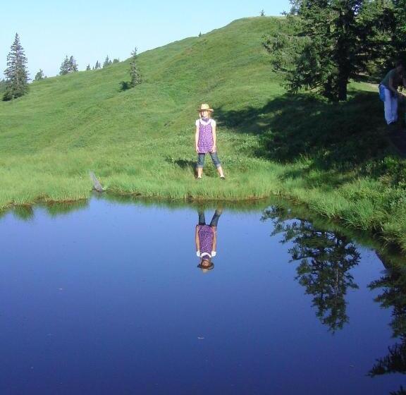 غرفة قياسية ثلاثية, Sonnhof