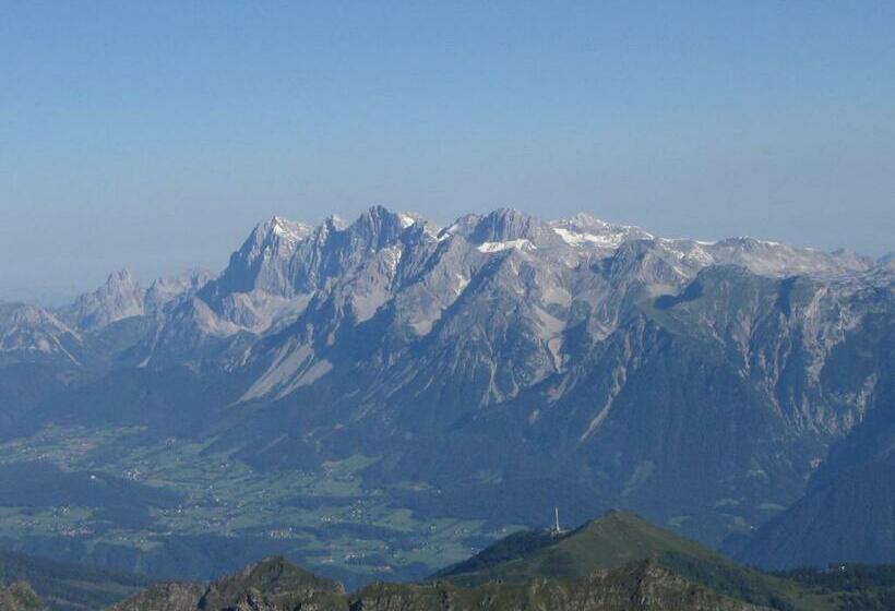 4인용 스탠다드 룸, Ringlerhof