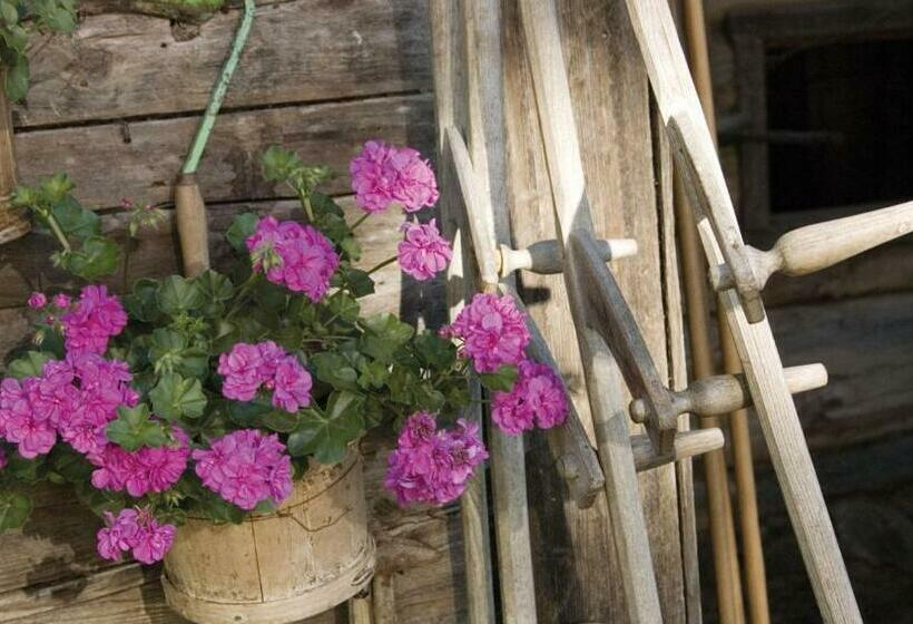 4인용 스탠다드 룸, Ringlerhof