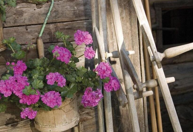 침실 3개 아파트, Ringlerhof