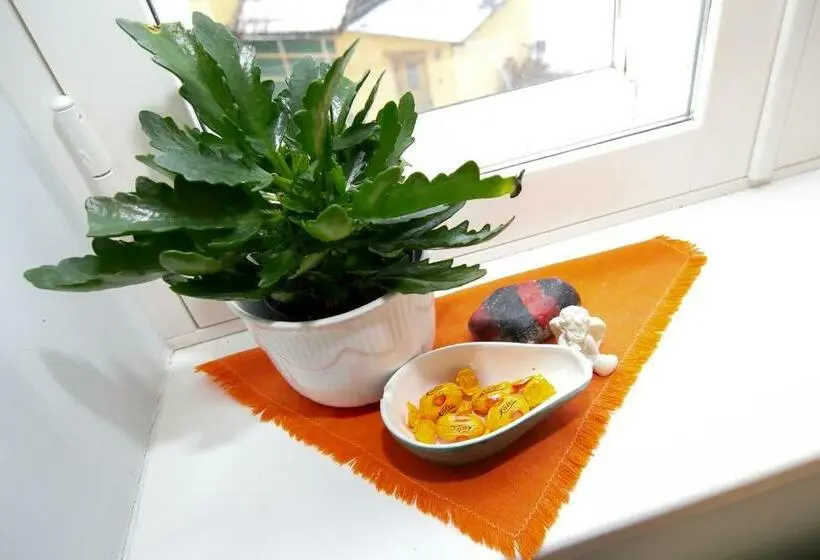 اتاق استاندارد چهارنفره با سرویس بهداشتی مشترک, Guesthouse Laurits
