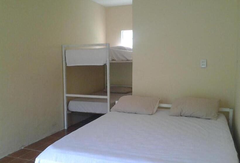 家庭间, Suítes Córdoba Sp