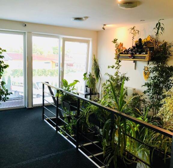 اتاق استاندارد سه نفره, Ubytování Barborka