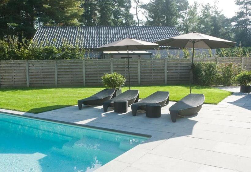 豪华园景房, B&b Interludium