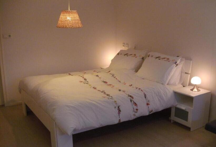 Номер Стандарт, 7even